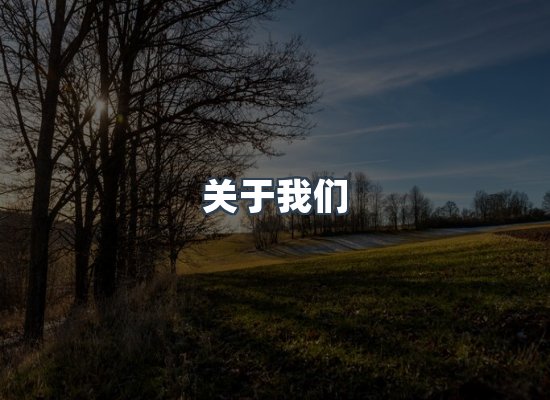 关于我们
